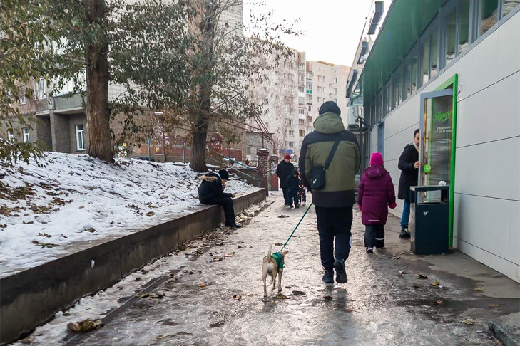 Падение деревьев и отключение света: опасную погоду ждут в Новосибирске