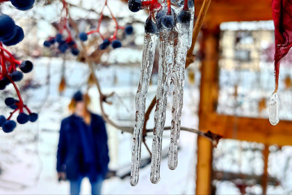 Снежный плен: синоптики предупредили о похолодании до -7 градусов в Новосибирске