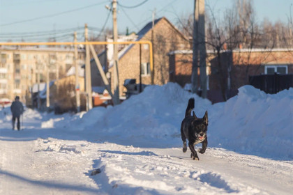 Прогноз погоды на 9-12 декабря в Новосибирске сделали синоптики