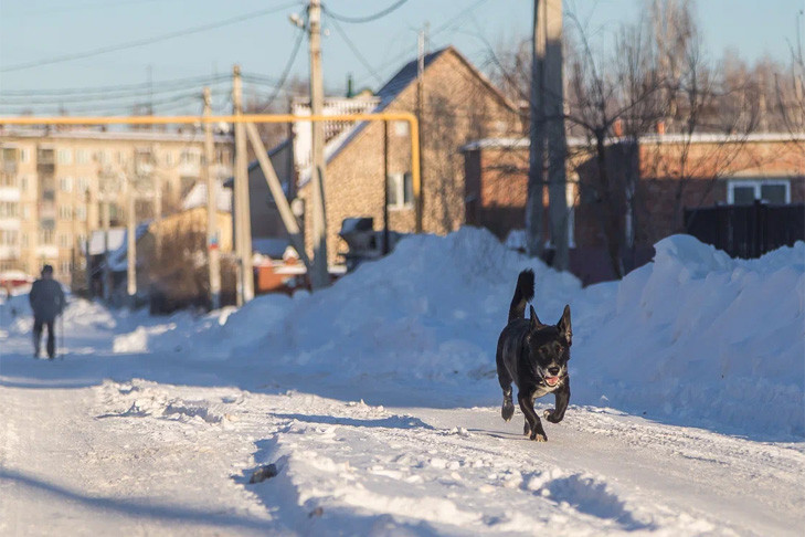 Прогноз погоды на 9-12 декабря в Новосибирске сделали синоптики