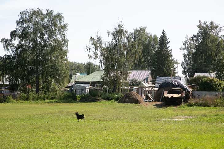 Русское порно в деревне