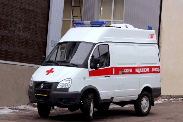 Ветеринара под Новосибирском зажало станком для очистки копыт