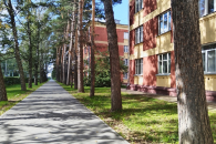 В Новосибирске почти все городские конфликты оказались связаны с экологией