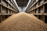 Новосибирский бизнес внимательно следит за развитием событий в Персидском заливе