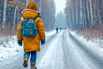 Не ходить на уроки в сильные морозы разрешили новосибирским школьникам