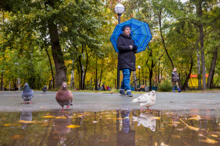 Дожди с ветром все выходные в Новосибирске – прогноз погоды 22-24 октября