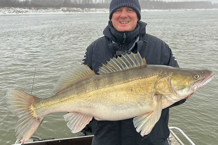 Царя судаков выловил в Оби рыбак из Новосибирска