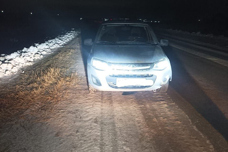 Пешеход погиб под колесами автомобиля на трассе в Новосибирской области