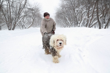 Терпите, люди: на 25 градусов потеплеет в Новосибирске к 27 января 