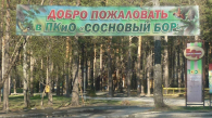 Парк «Сосновый бор» в Новосибирске отметил 50-летие
