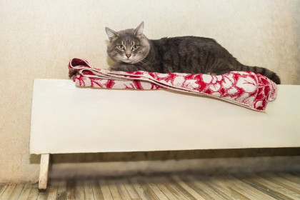 Отопительный сезон в Новосибирске стартует 17 сентября