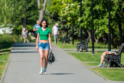 Идем на рекорд: аномальную жару до 11 июня объявили синоптики в Новосибирске