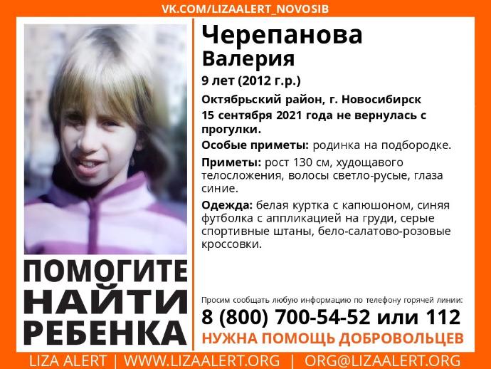 9-летняя девочка пропала в Новосибирске после прогулки