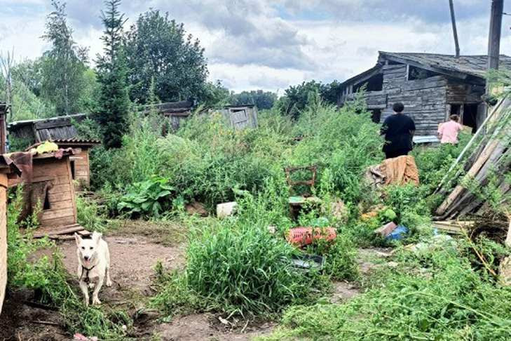Под Новосибирском среди собак нашли труп хозяйки концлагеря для животных