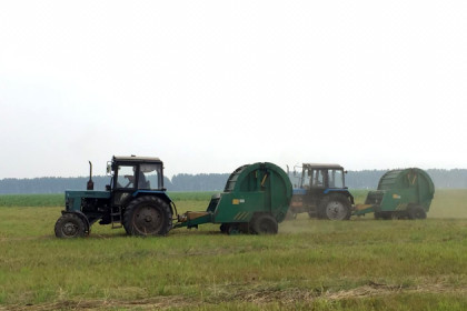 Аграрии Новосибирской области стали быстрее получать господдержку благодаря цифровым технологиям