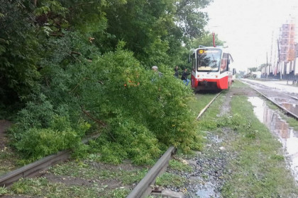 Ураганный ветер нарушил движение трамваев в Новосибирске