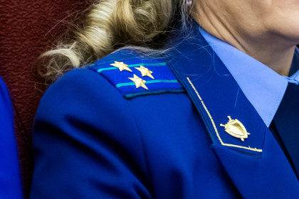 Жительница Новосибирской области получила срок за оскорбление прокурора