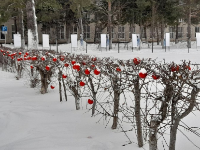 «Бердские новости» объявляют перекличку новогодних превращений