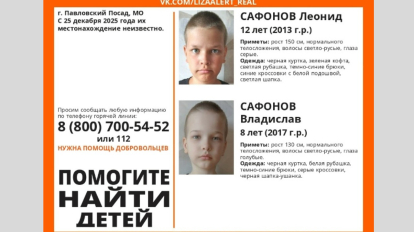 В Новосибирской области ищут двух детей из Подмосковья