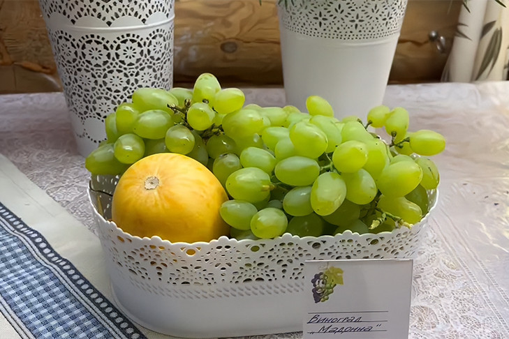 Секреты сибирских виноградарей раскрыли в «Дачной академии» Новосибирска