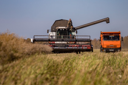 Режим ЧС введен в двух районах Новосибирской области по уборке урожая