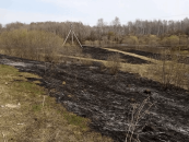 В ближайшее время на территории Новосибирской области введут особый противопожарный режим