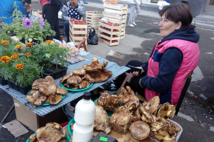 Ядовитые грибы начали продавать в Новосибирске 