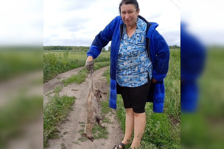 Новость о чупакабре в Новосибирской области прокомментировал главный ветеринарный инспектор Равиль Жабаров