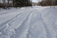 Вандалы уничтожили одну из лучших лыжных трасс в Новосибирской области