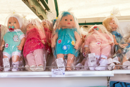 Мифические дети на 237 млн: в Новосибирске раскрыли масштабную аферу с пособиями