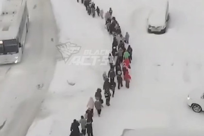 Учащихся и педагогов экстренно эвакуировали из школы №216 в Новосибирске