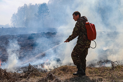 Лесопожарную технику по нацпроекту «Экология» закупят в Новосибирской области
