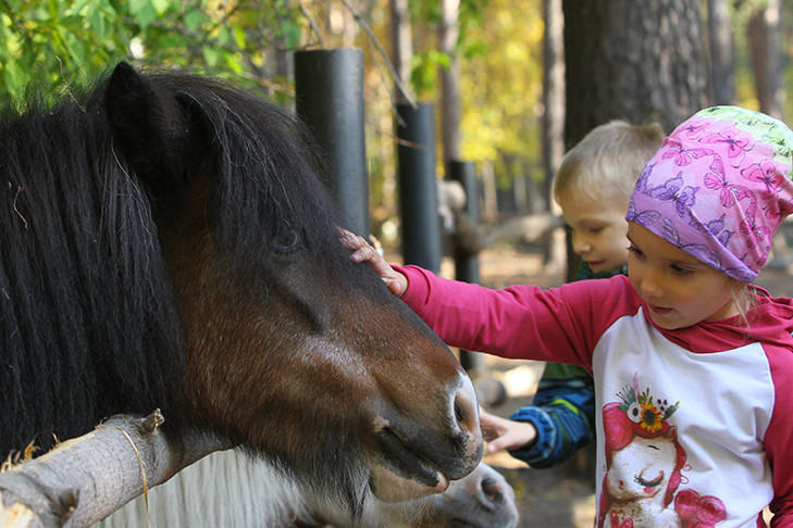 Опубликована точная программа Дня защиты детей 1 июня 2025 в Новосибирске