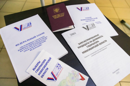 Явка на выборах губернатора Новосибирской области достигла 25%