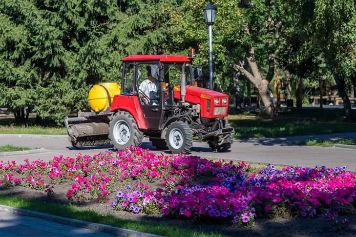 Новосибирск станет зеленее: 135 миллионов выделили на обновление газонов