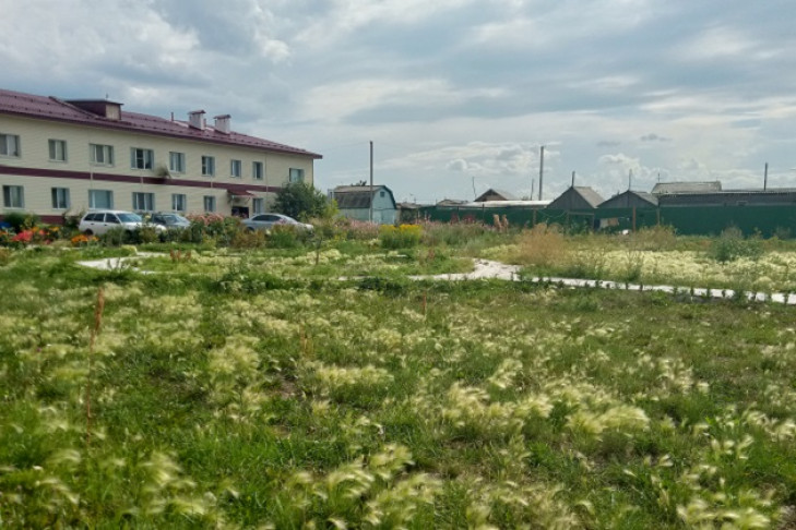 Травой зарос двор многоквартирника после благоустройства в Усть-Тарке