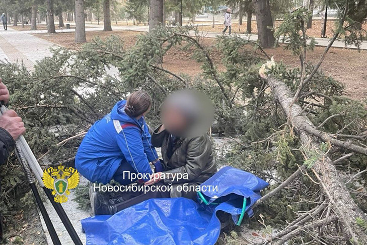 Пострадала от урагана пожилая семейная пара в Новосибирске