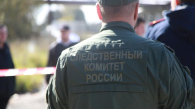 Стало известно о мальчике, на глазах которого убили его мать в Новосибирске