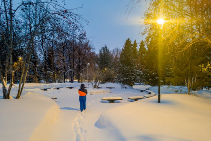 Снегопад в Новосибирске побил рекорд впервые за 50 лет – синоптики назвали количество выпавшего снега