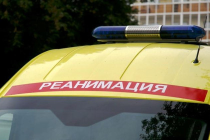 Ребенок отделался царапинами, упав с 7 этажа в Новосибирске