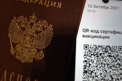 QR-коды в Новосибирске действительны только с паспортом – подробности минцифры