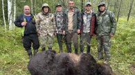 На Алтае отстреляли 12 медведей после нападения на жительницу Новосибирска