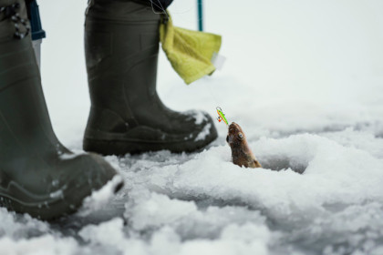 Опасный лед: еще два рыбака утонули в Новосибирской области
