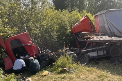 Три человека погибли на трассе под Новосибирском в ДТП с грузовиками