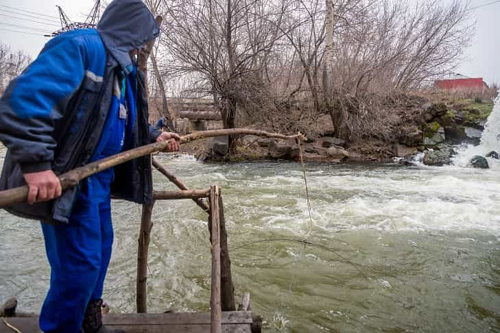 Рыбовод Вдовченко назвал бассейн Оби самым опасным местом на планете