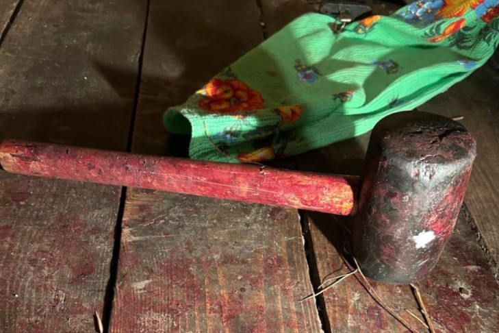 Избили кувалдой и вызвали скорую помощь своей жертве жители Колывани