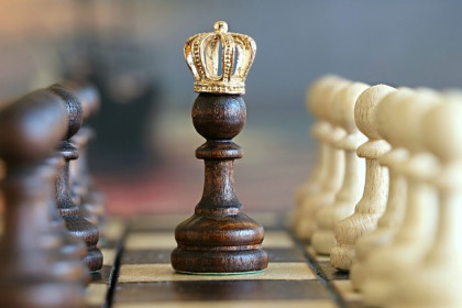 Уроки шахмат в первом классе предложили ввести в школах новосибирские гроссмейстеры
