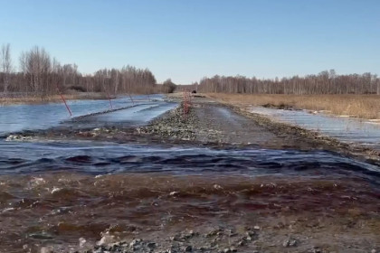 Четыре дороги в Новосибирской области оказались заблокированы паводком