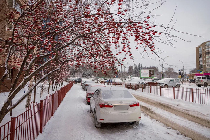 За упавший на Audi снег с крыши жительнице Новосибирска заплатят 100 тысяч рублей