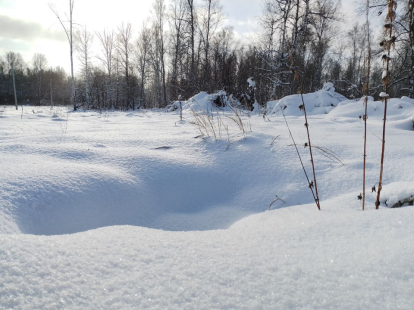 30-градусные морозы ударили в Новосибирской области